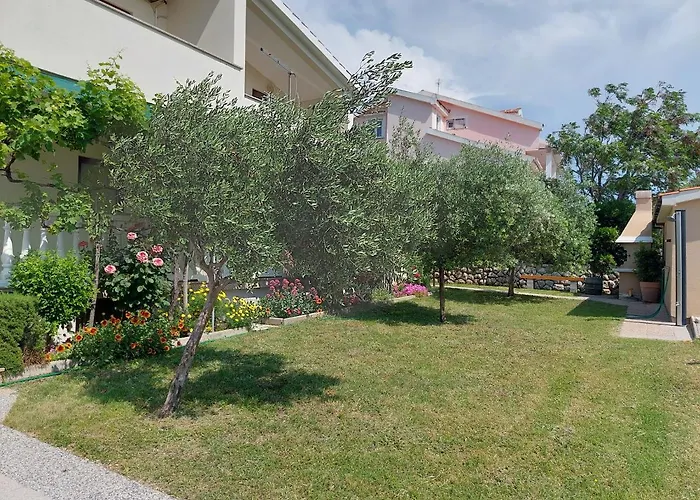 Apartments Vlasici