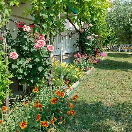 Апартаменты Apartments Vlasici Влашичи